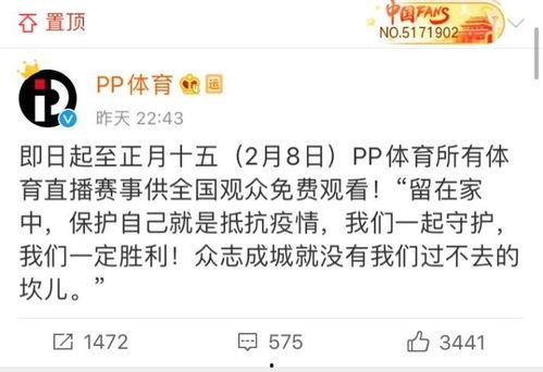 在线福利免费视频,在线福利无限畅享