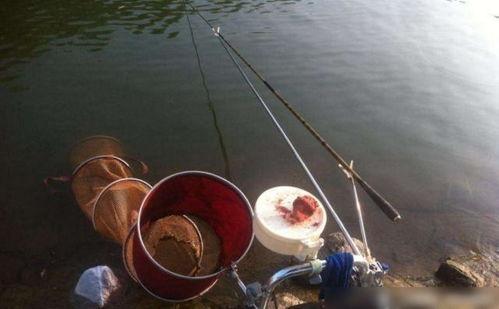 钓鱼基础视频,跟随基础视频轻松掌握钓鱼技巧