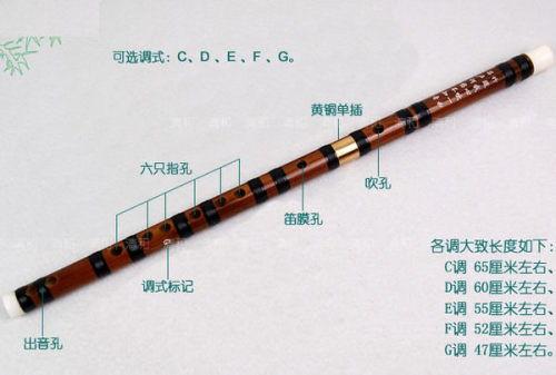 笛子怎么吹响初学视频,轻松吹响笛子的入门指南