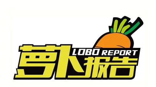 萝卜报告视频,深度解析视频内容，揭示行业趋势与热点